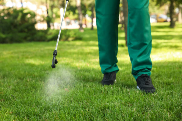 Best Exterminator Services  in Silver Summit, UT