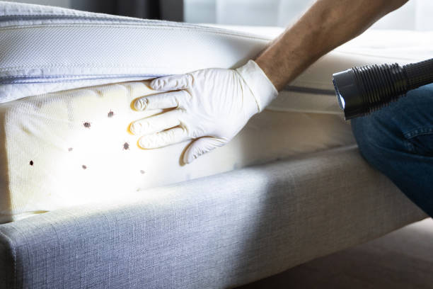 Best Pest Inspection Near Me  in Silver Summit, UT