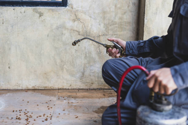 Best Residential Pest Control  in Silver Summit, UT